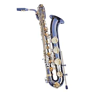 バリトンサックス ソフトケース 管楽器 Amazon.co.jp: プロフェッショナル バリトン サックス 金管楽器